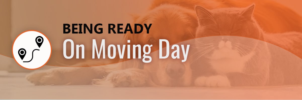 Moving House with Pets on Moving Day